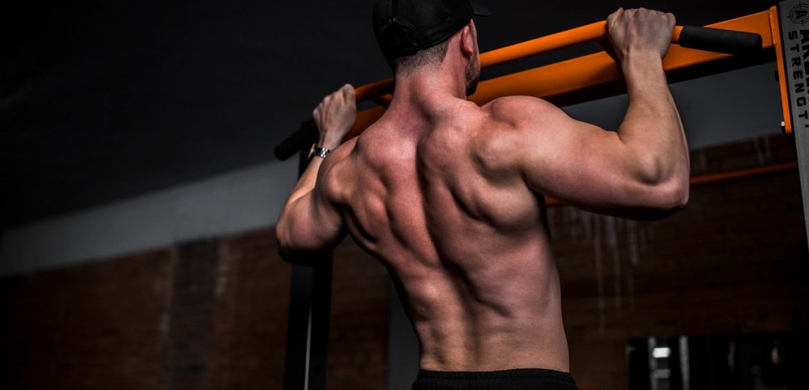 Prawidłowy trening mięśni grzbietu – jak go wykonać?